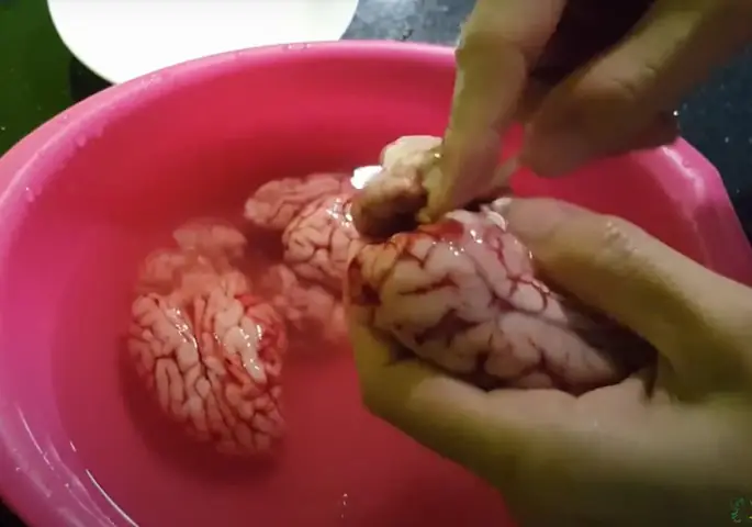 Cách Nấu Óc Bò Ngải Cứu Thơm Ngon, Không Tanh Và Chuẩn Vị Cách Nấu Óc Bò Ngải Cứu Thơm Ngon, Không Tanh Và Chuẩn Vị