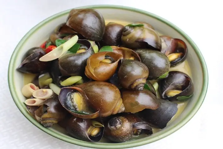 Cách Nấu Ốc Bươu Hấp Mẻ Chuẩn Vị, Đậm Đà Khó Quên