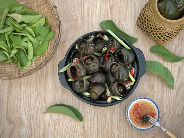 Cách Nấu Ốc Bươu Hấp Mẻ Chuẩn Vị, Đậm Đà Khó Quên