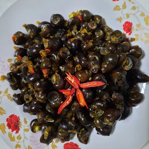 Hướng Dẫn Cách Nấu Ốc Gạo Miền Trung Chuẩn Vị Tại Nhà