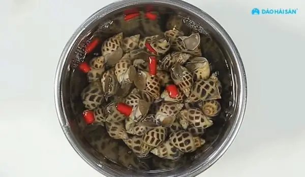 Hướng Dẫn Cách Nấu Ốc Hương Hấp Sả Chi Tiết, Dễ Làm