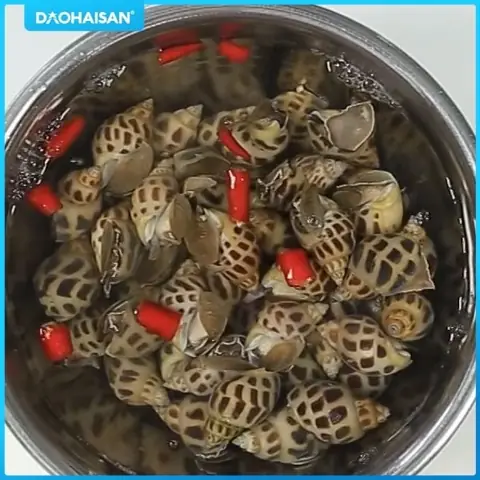 Cách Nấu Ốc Hương Rang Muối Thơm Ngon Đậm Vị Tại Nhà Cách Nấu Ốc Hương Rang Muối Thơm Ngon Đậm Vị Tại Nhà