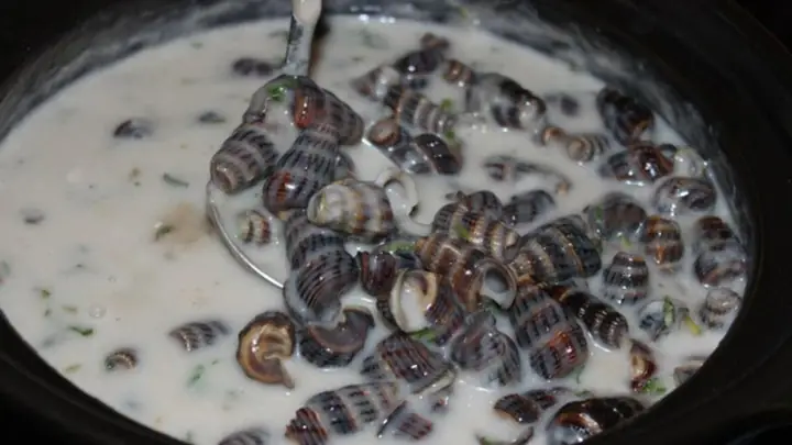 Hướng Dẫn Cách Nấu Ốc Hút Nước Cốt Dừa Thơm Ngon Tại Nhà