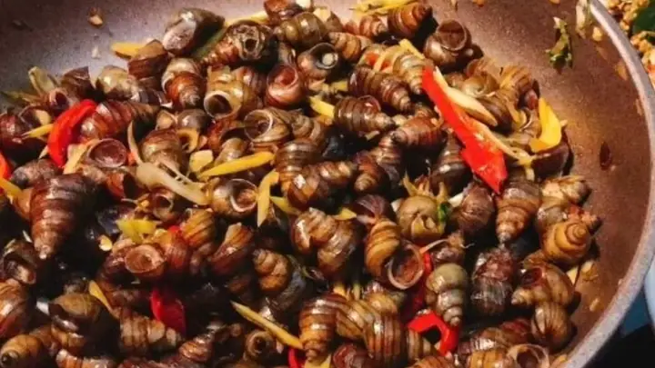 Hướng Dẫn Cách Nấu Ốc Hút Nước Cốt Dừa Thơm Ngon Tại Nhà