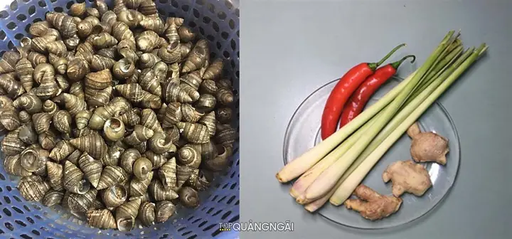 Nguyên liệu nấu ốc hút Quảng Ngãi gồm những gì?