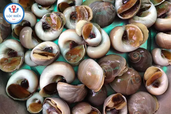 Cách nấu ốc mỡ xào tỏi thơm ngon, chuẩn vị tại nhà