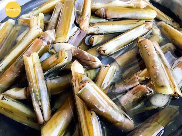 Cách Nấu Ốc Móng Tay Xào Sả Ớt Thơm Ngon, Đậm Đà Chuẩn Vị Cách Nấu Ốc Móng Tay Xào Sả Ớt Thơm Ngon, Đậm Đà Chuẩn Vị