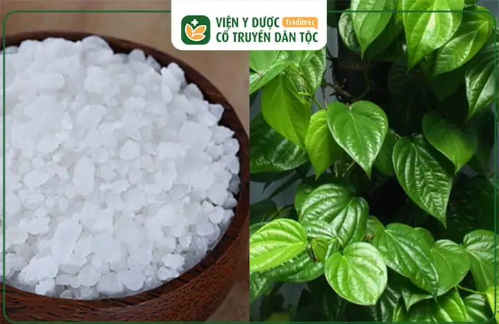 Cách Nấu Phèn Chua Rửa Vùng Kín: Hướng Dẫn Chi Tiết và Cảnh Báo Sức Khỏe