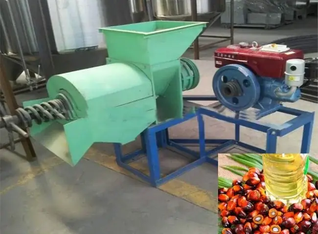 Cách Nấu Quả Cọ Dầu Chuẩn Vị, Đơn Giản Tại Nhà