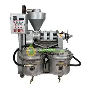 Cách Nấu Quả Cọ Dầu Chuẩn Vị, Đơn Giản Tại Nhà