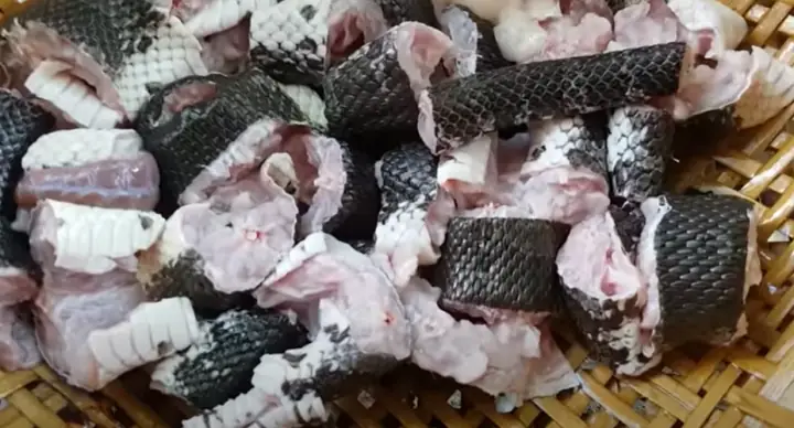 Hướng dẫn chi tiết cách nấu rắn hầm đu đủ ngon bổ dưỡng