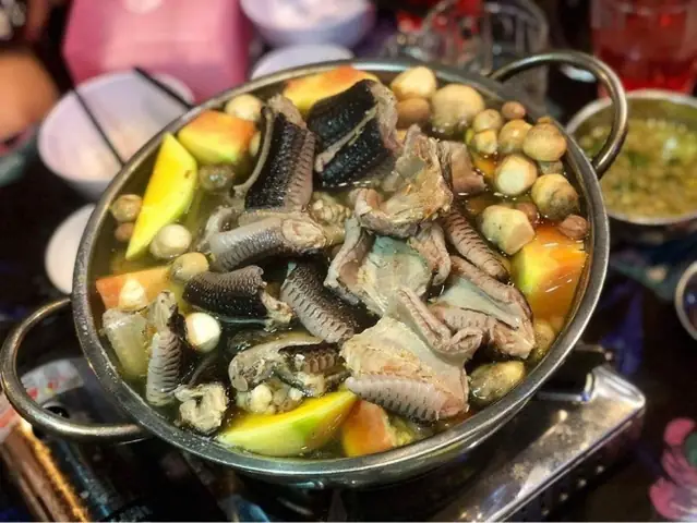 Cách Nấu Rắn Mèo Hầm Gà: Bí Quyết Món Ngon Bổ Dưỡng Cách Nấu Rắn Mèo Hầm Gà: Bí Quyết Món Ngon Bổ Dưỡng