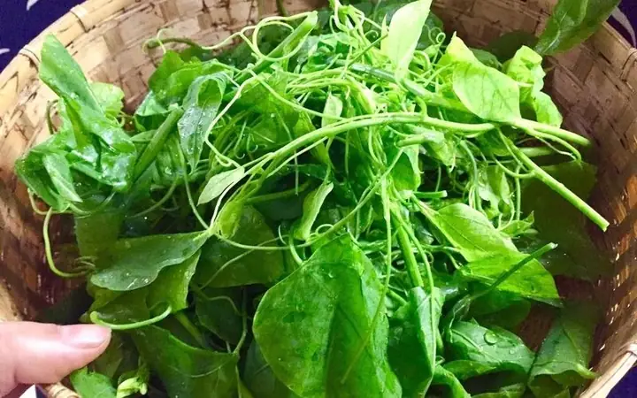 Cách Nấu Rau Bò Khai Ngon Chuẩn Vị Vùng Cao, Đậm Đà Hương Vị Cách Nấu Rau Bò Khai Ngon Chuẩn Vị Vùng Cao, Đậm Đà Hương Vị