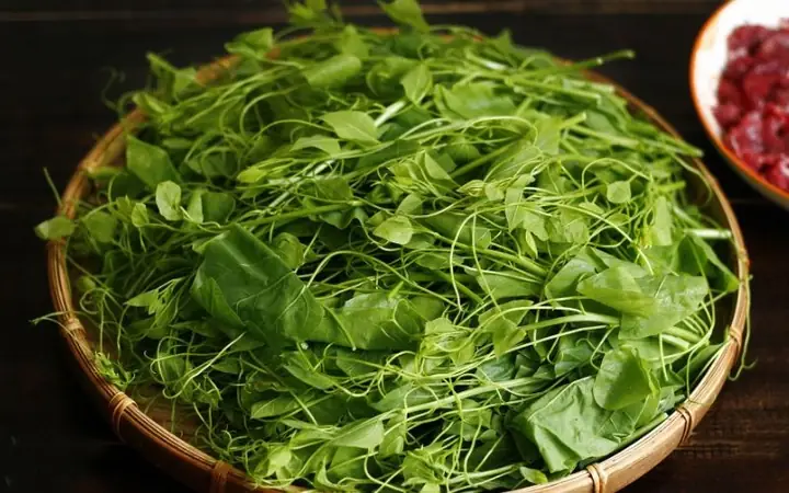 Cách Nấu Rau Bò Khai Ngon Chuẩn Vị Vùng Cao, Đậm Đà Hương Vị Cách Nấu Rau Bò Khai Ngon Chuẩn Vị Vùng Cao, Đậm Đà Hương Vị