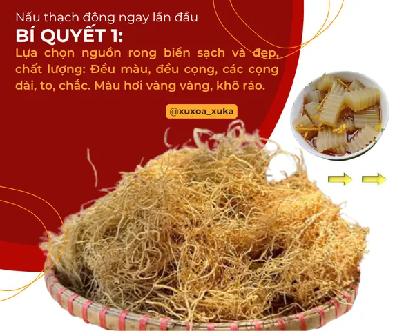 Cách Nấu Rau Câu Biển Thanh Mát, Giải Nhiệt Mùa Hè