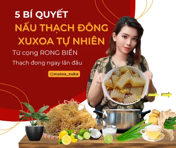 Cách Nấu Rau Câu Biển Thanh Mát, Giải Nhiệt Mùa Hè