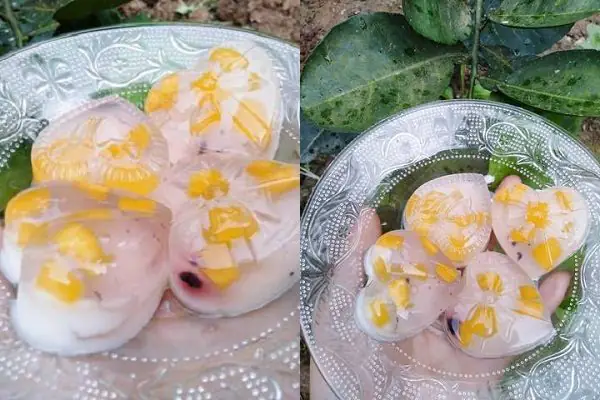 cách nấu rau câu dẻo