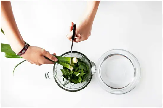 Cách Nấu Rau Câu Lá Dứa Thơm Ngon, Dẻo Mịn Tại Nhà