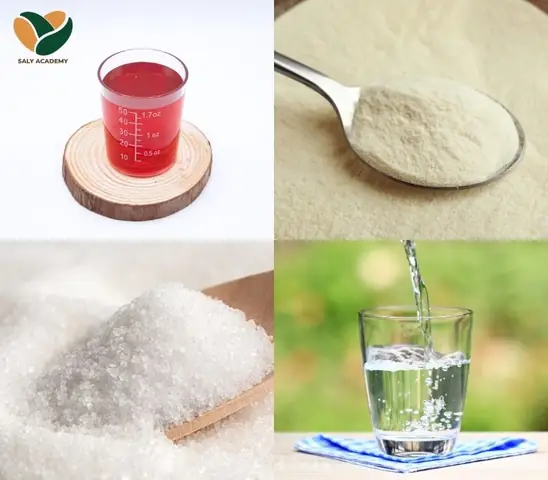 Hướng Dẫn Cách Nấu Rau Câu Phô Mai Thơm Ngon, Mát Lạnh