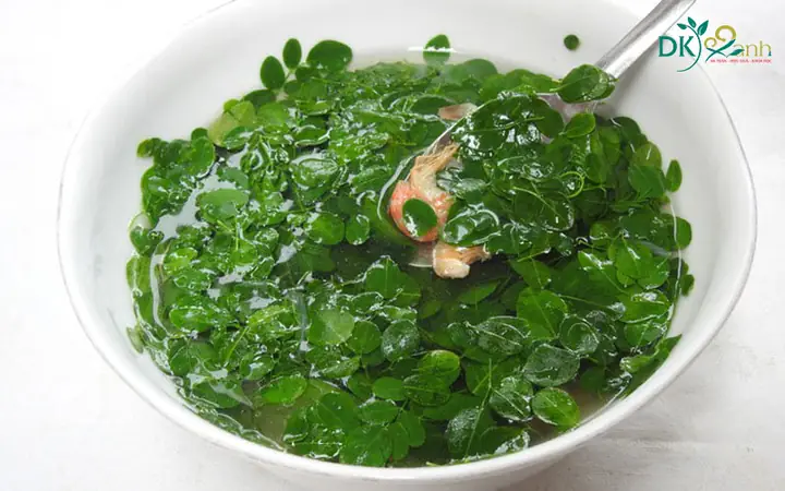 Cách Nấu Rau Chùm Ngây Lợi Sữa: Hướng Dẫn Chi Tiết Từ A Đến Z