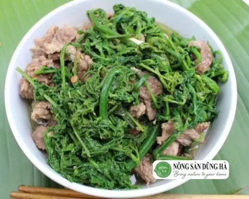 Cách Nấu Rau Dớn Xào Tỏi Thơm Ngon Đậm Đà Chuẩn Vị Miền Sơn Cước Cách Nấu Rau Dớn Xào Tỏi Thơm Ngon Đậm Đà Chuẩn Vị Miền Sơn Cước