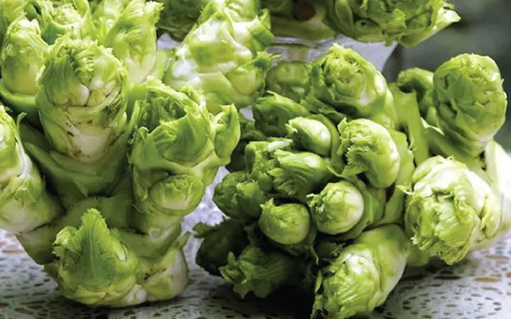 Hướng Dẫn Chi Tiết Cách Nấu Rau Mầm Đá Thơm Ngon Đậm Vị