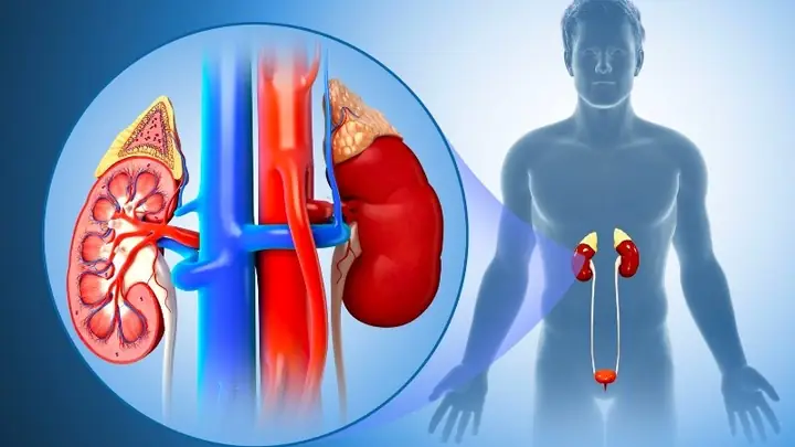 Hướng dẫn cách nấu râu ngô trị sỏi thận hiệu quả tại nhà