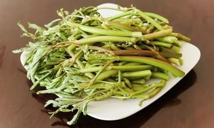 Hướng Dẫn Cách Nấu Rau Rút Khoai Sọ Thơm Ngon, Bổ Dưỡng Chuẩn Vị