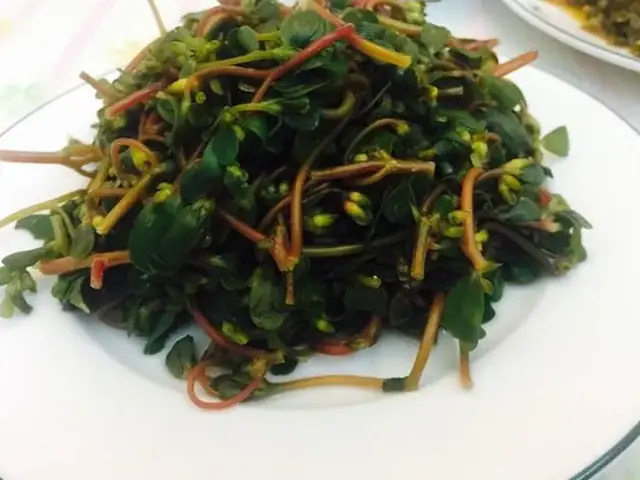 Cách Nấu Rau Sam Ngon: Hướng Dẫn Chi Tiết 5 Món Thanh Mát, Bổ Dưỡng