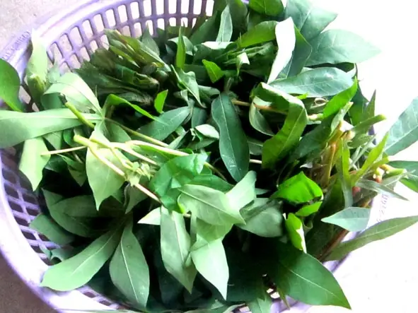 Cách Nấu Rau Sắn Tươi: Hướng Dẫn Chi Tiết