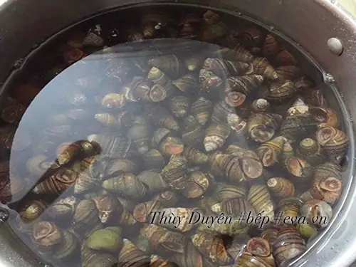 Cách Nấu Riêu Ốc Cà Chua Chuẩn Vị, Thơm Ngon Tại Nhà Cách Nấu Riêu Ốc Cà Chua Chuẩn Vị, Thơm Ngon Tại Nhà