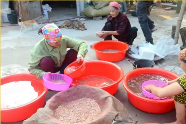 Tổng Hợp Cách Nấu Rươi Ngon Nhất: Từ Sơ Chế Đến Món Ăn Hoàn Hảo