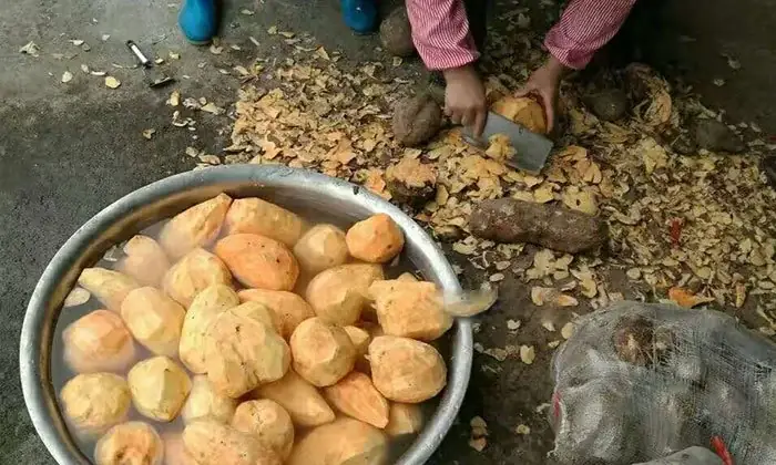 Cách Nấu Rượu Khoai Lang Thơm Ngon, Đậm Vị Tại Nhà Chi Tiết Nhất