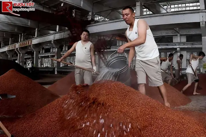 Khám Phá Chi Tiết Cách Nấu Rượu Mao Đài: Bí Quyết Truyền Thống và Thực Hành