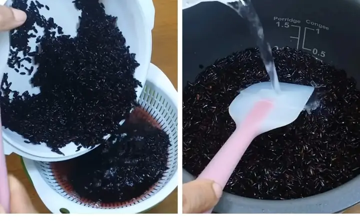 Cách nấu rượu nếp cẩm bằng nồi cơm điện ngon