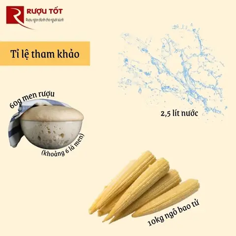 Cách nấu rượu ngô bao tử: Hướng dẫn chi tiết từ A đến Z