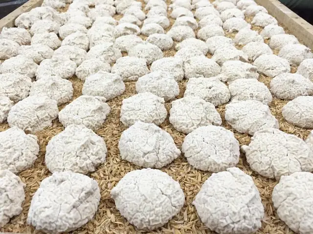 Hướng dẫn chi tiết cách nấu rượu ngon nhất: Từ chọn gạo đến ủ hương