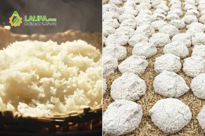 Làm Thế Nào Để Nấu Rượu Tại Nhà Thơm Ngon, An Toàn và Chuẩn Vị?