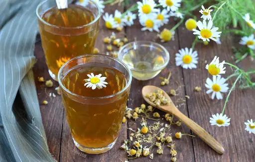 Hướng Dẫn Cách Nấu Sâm Bí Đao Nhãn Nhục Thanh Mát