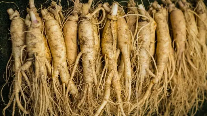 Hướng Dẫn Chi Tiết Cách Nấu Sâm Hàn Quốc Ngon Chuẩn Vị