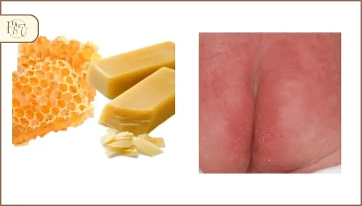 Hướng Dẫn Chi Tiết Cách Nấu Sáp Ong Tại Nhà Thành Công