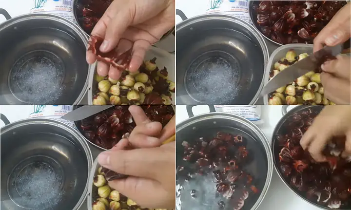 Hướng Dẫn Chi Tiết Cách Nấu Siro Atiso Đỏ Ngon Tại Nhà