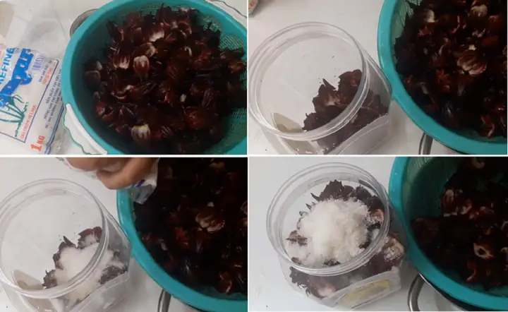 Hướng Dẫn Chi Tiết Cách Nấu Siro Atiso Đỏ Ngon Tại Nhà