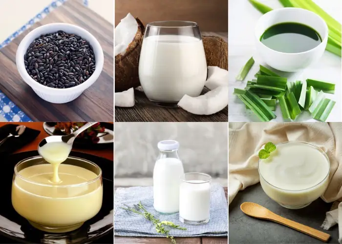 cách nấu sữa chua nếp cẩm