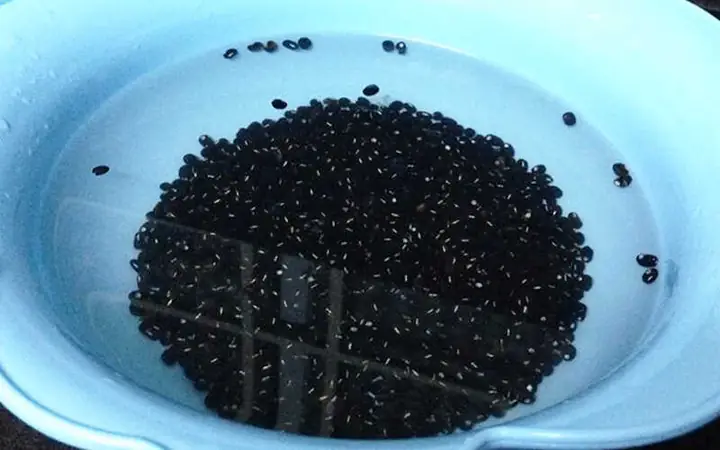 cách nấu sữa đậu đen