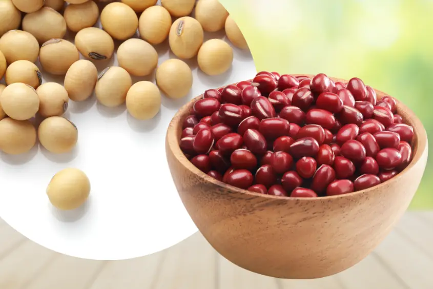 cách nấu sữa đậu đỏ