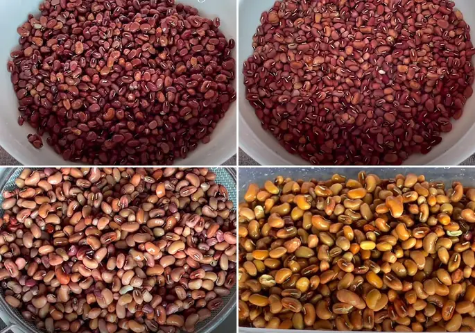 Hướng Dẫn Cách Nấu Sữa Đậu Đỏ Hạt Sen Ngon, Bổ Dưỡng