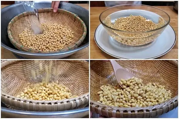 cách nấu sữa đậu nành