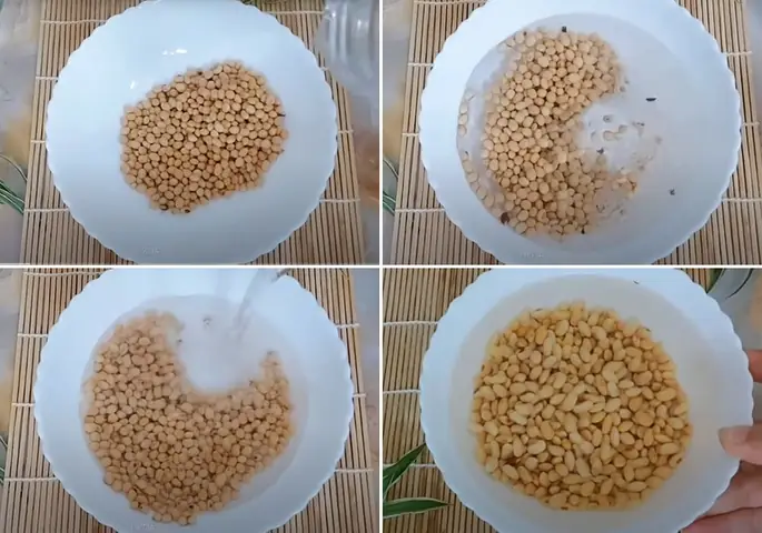 Cách Nấu Sữa Đậu Nành Bằng Máy Xay Sinh Tố Ngon Chuẩn Vị Tại Nhà