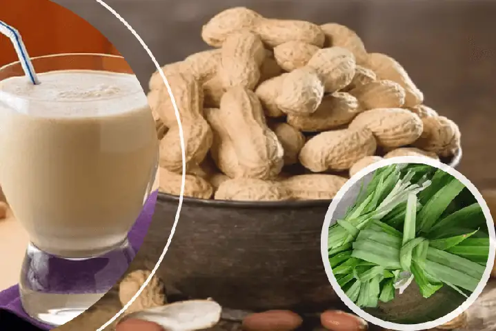 Cách Nấu Sữa Đậu Nành Đậu Phộng: Đơn Giản, Bổ Dưỡng Tại Gia Cách Nấu Sữa Đậu Nành Đậu Phộng: Đơn Giản, Bổ Dưỡng Tại Gia